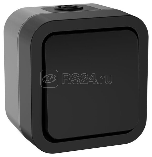 IEK TORS Выключ. двухполюсный однокл. 10А IP55 TS111 графит TS-V16-0-10-55-K53