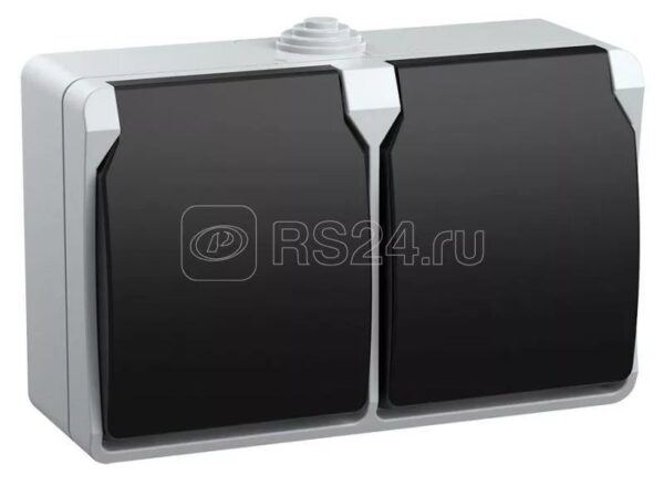 IEK FORS РСб22-3-ФСр Розетка двухместная с з/к для открытой установки IP54
ERS22-K03-16-54-DC