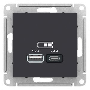 Atn001039 usb Розетка a+С, мех, карбон